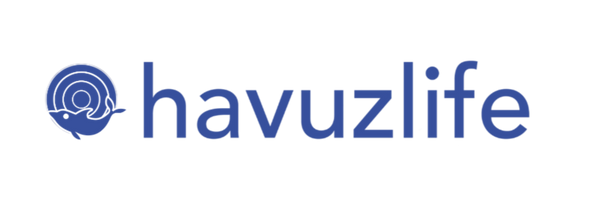 Havuz Life