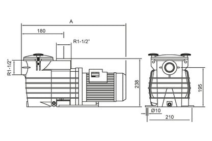 Kripsol Ondina OK Havuz Pampası