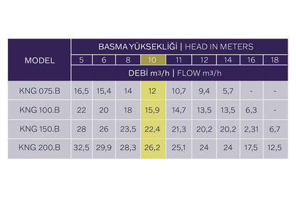 Kripsol Niger Kng Spa ve Su Oyunları  pompası