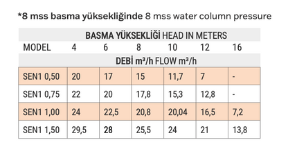 Waterfun Senkron 1 Havuz Pompası